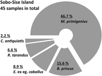 Paleo-Ecology of the Yedoma Ice Complex on Sobo-Sise Island (EasternLena Delta, Siberian Arctic)